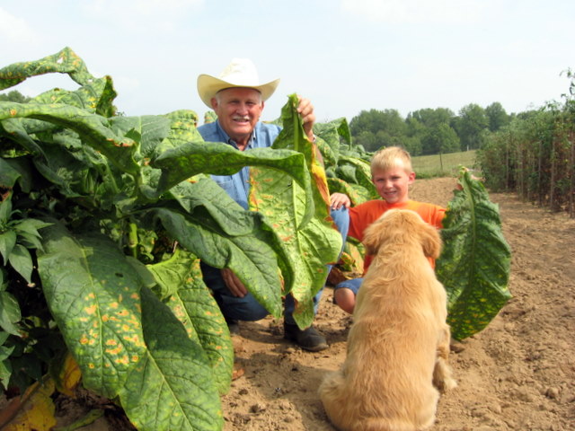 carytown tobacco charlottesville va CARYTOWN TOBACCO - Updated May 2026 - 10 Reviews - 219 W Main St,  Charlottesville, Virginia - Head Shops - Phone Number