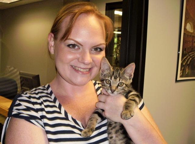 Campus cat: Draper kitten gets a new home - 35622