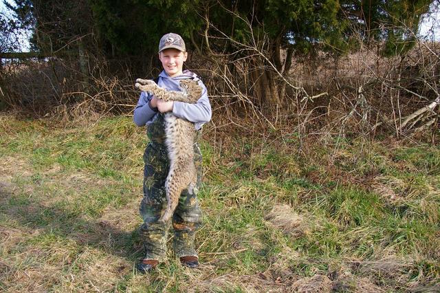 Bobcats-in-Kentucky Wildlife of Kentucky: Bobcat caught Friday at Bliss, KY on ...
